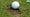 a golf ball in a divot
